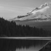 Portland Area Agencies Awarded ESGR Statement of Support